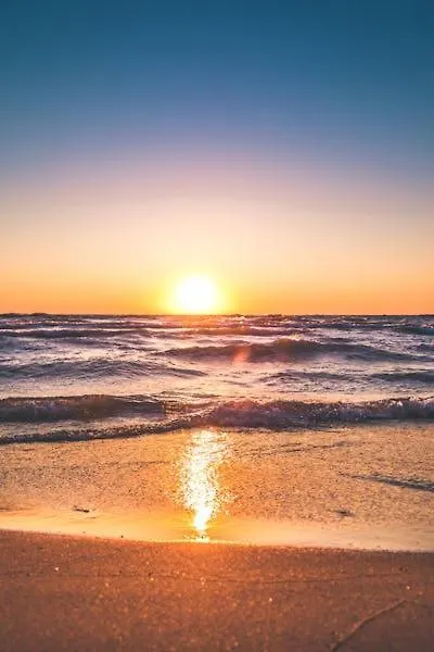 Holiday home Fregene - Villa Paradise Near Airport Fiumicino Fregenae