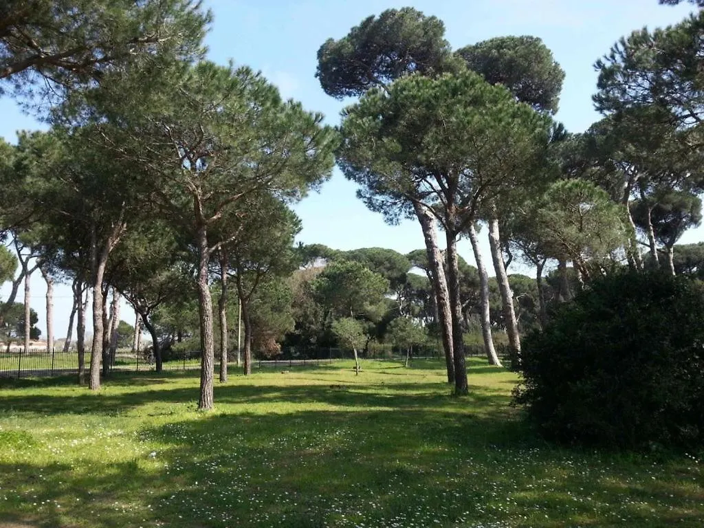 Fregene - Villa Paradise Near Airport Fiumicino Fregenae Italy